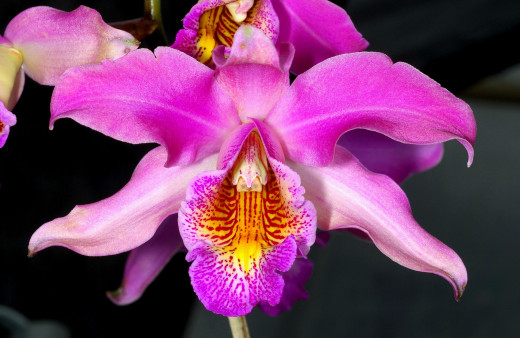 605843 (a): :2700x1750